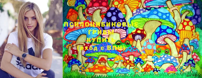 Псилоцибиновые грибы MAGIC MUSHROOMS  купить   мега сайт  Макушино 